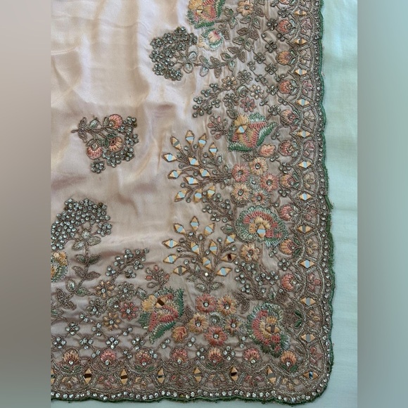 Light Pink Saree (With pleats) - Picture 4 of 6